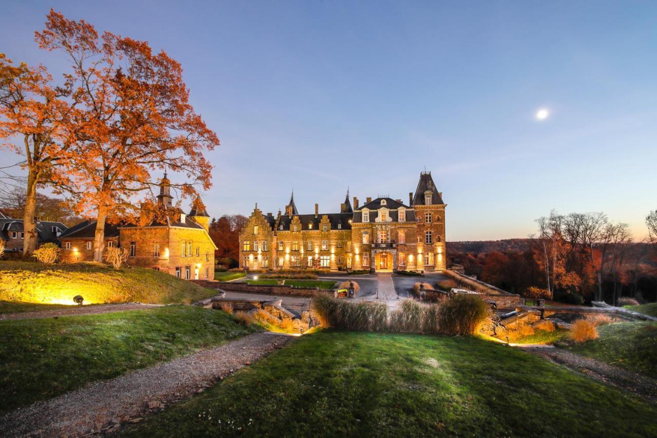 Domaine De Ronchinne - Chateau Et Ecuries Maillen Exterior foto